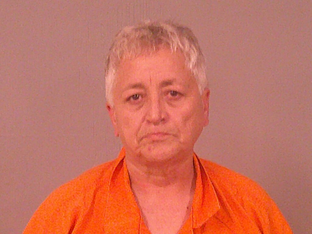 SALINAS, NORMA arrested in Burnet County, Texas mugshot