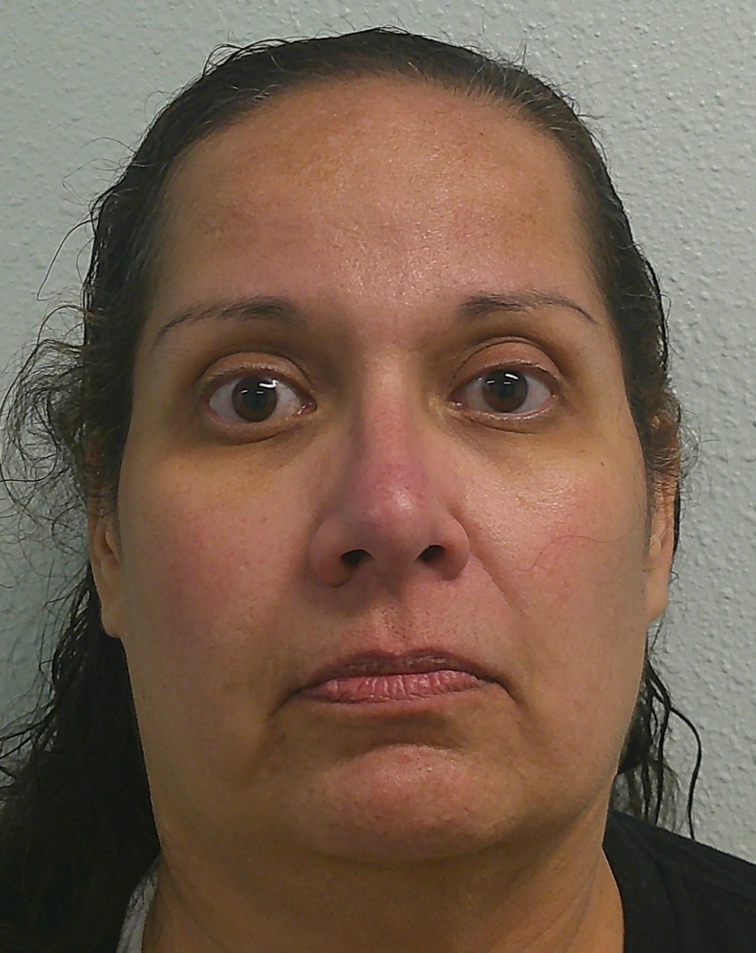 BARAJAS, JULIANA booking photo