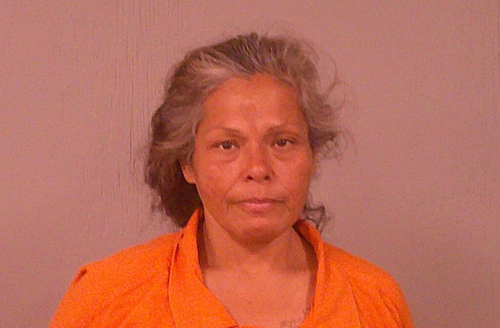 LERMA, ALICE MARIE arrested in Burnet County, Texas mugshot