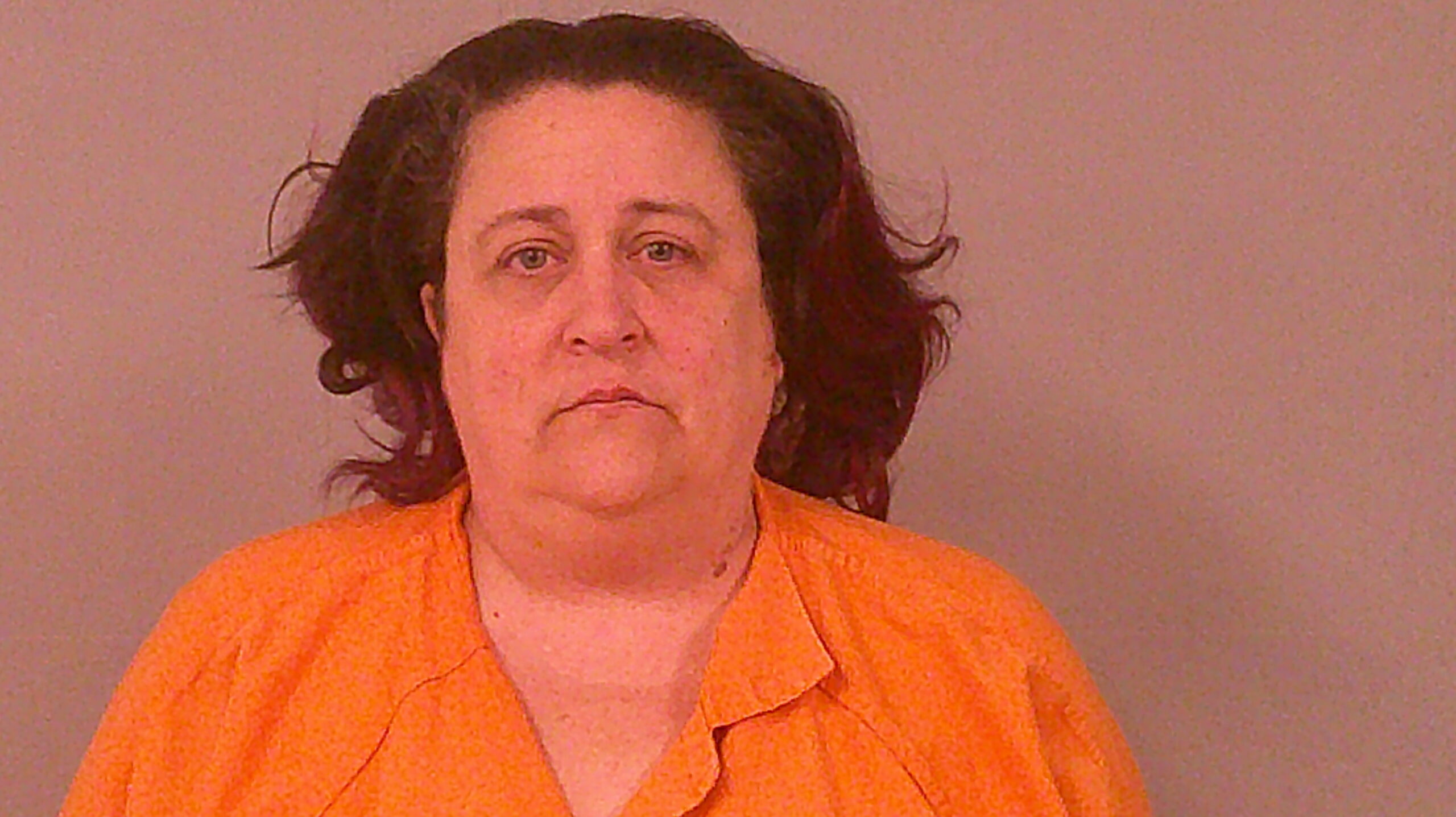 FLOOD, BRIDGET LEE booking photo
