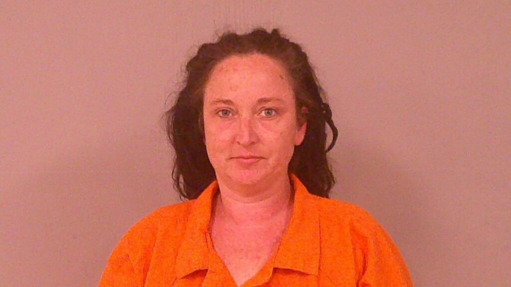 MCNAMARA, HEATHER LYNN arrested in Burnet County, Texas mugshot