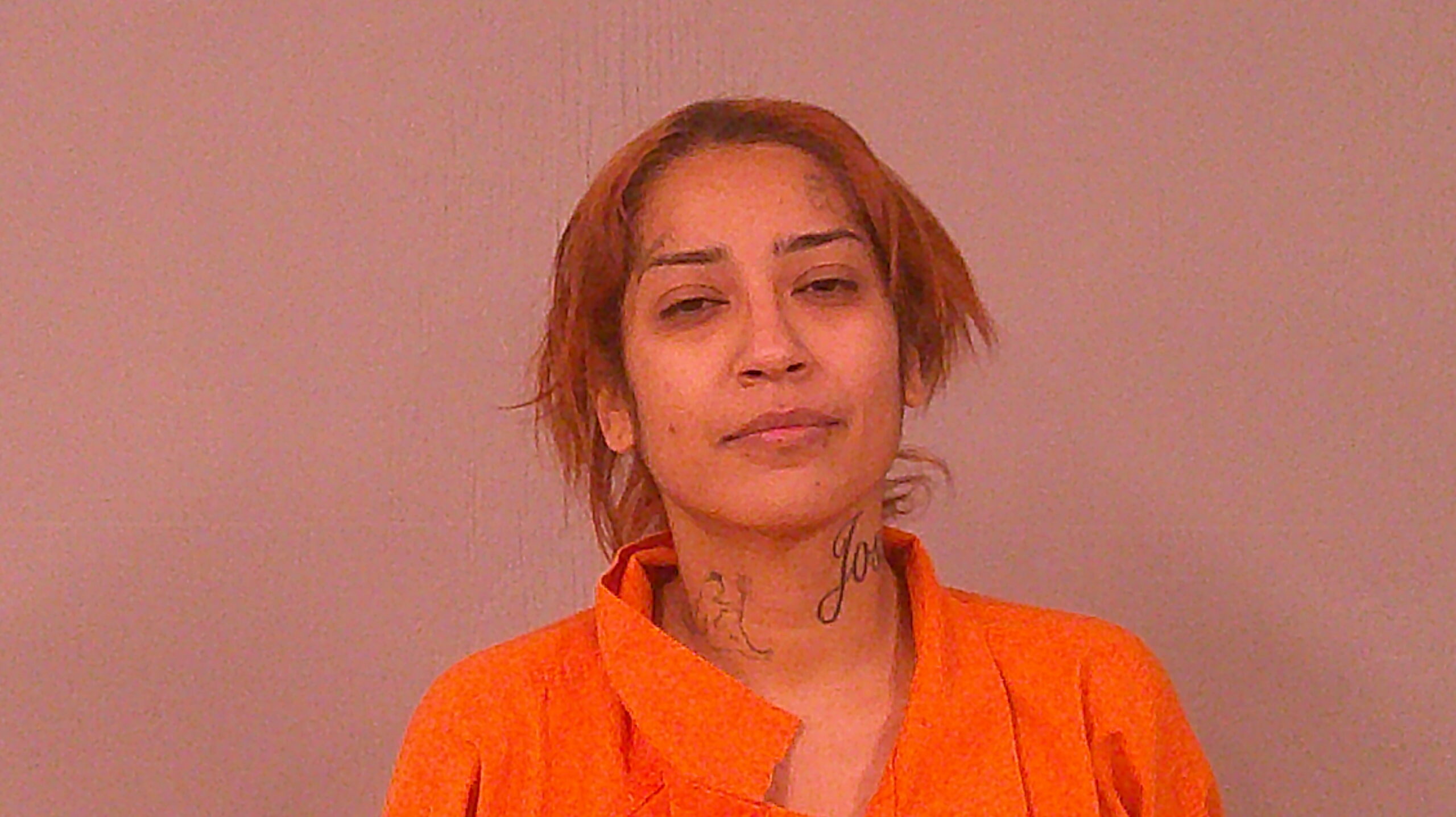 VILLAESCUSA-ACOSTA, DALIA booking photo