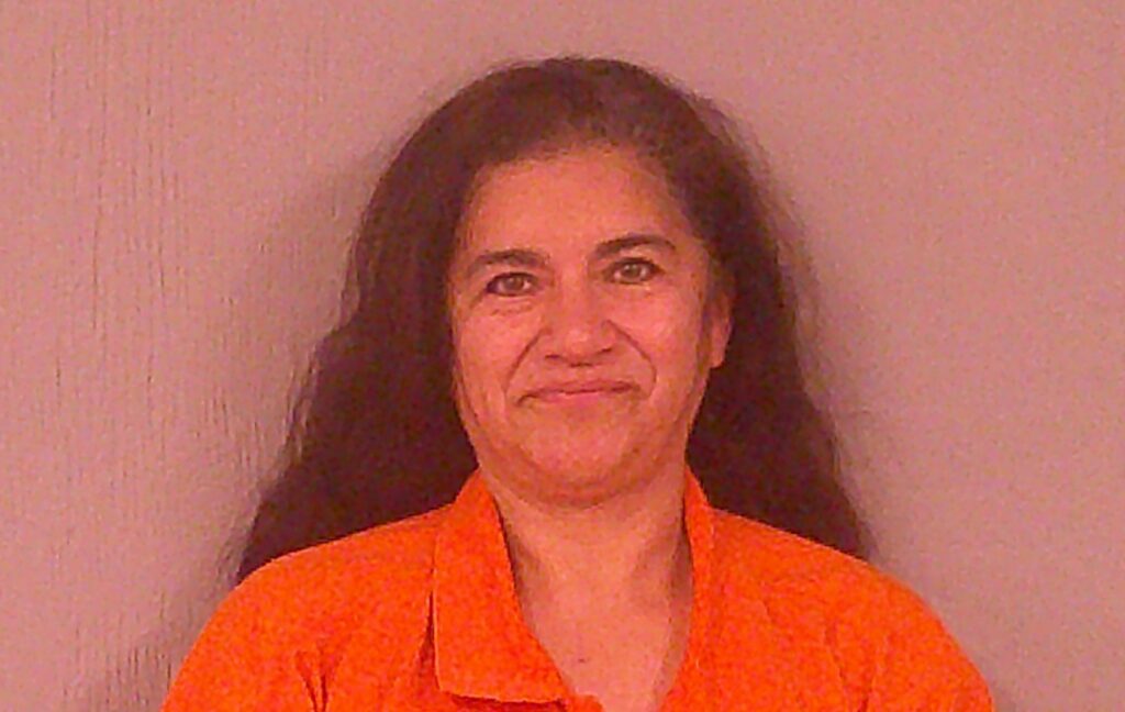SUAREZ, THELMA VERONICA arrested in Burnet County, Texas mugshot