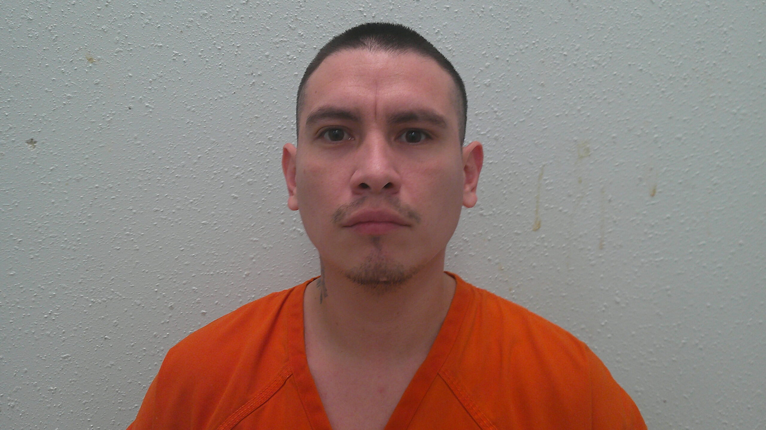 PINEDO, ARMANDO booking photo