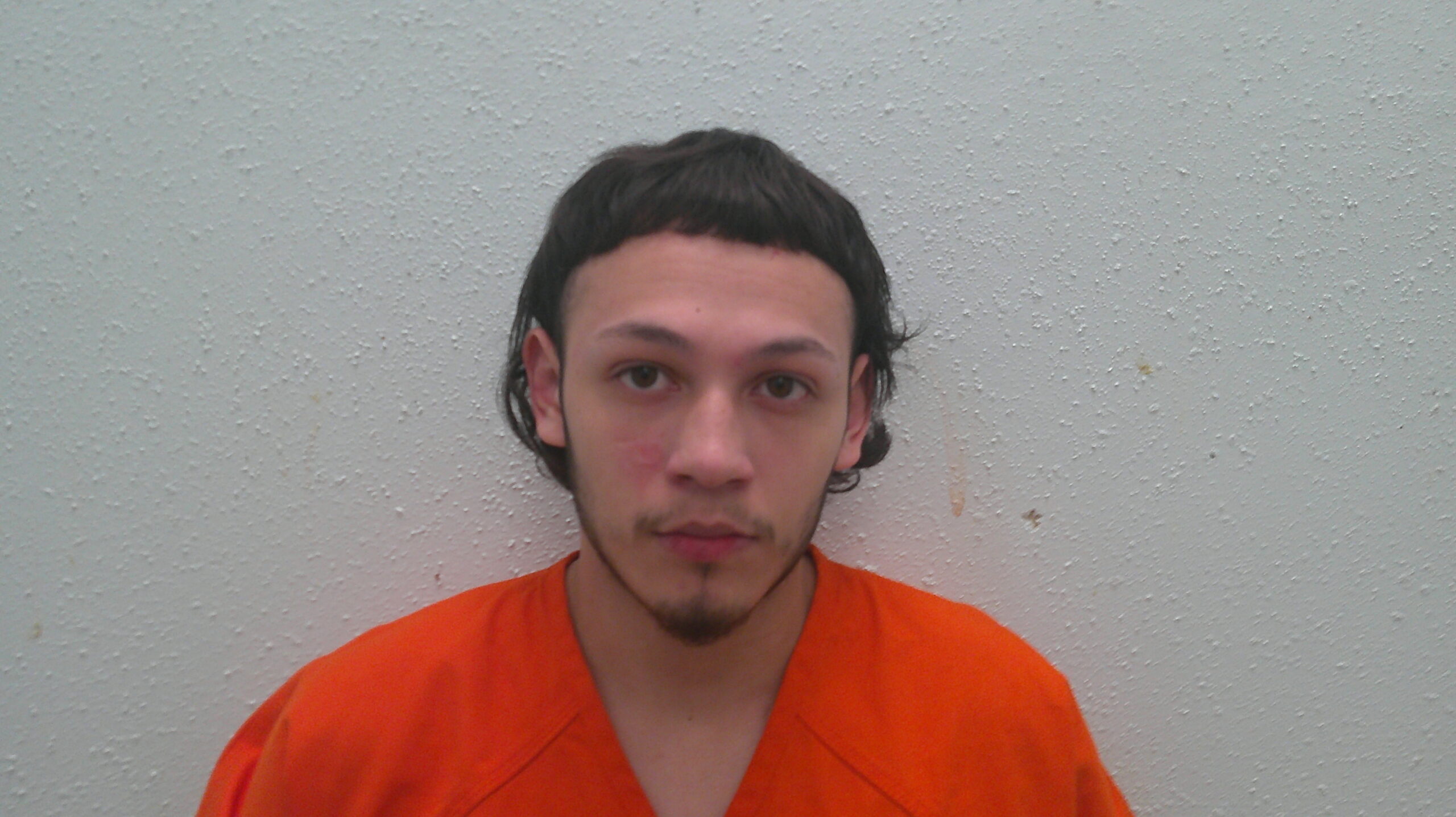 GABRIEL, SEBASTIAN LEE booking photo