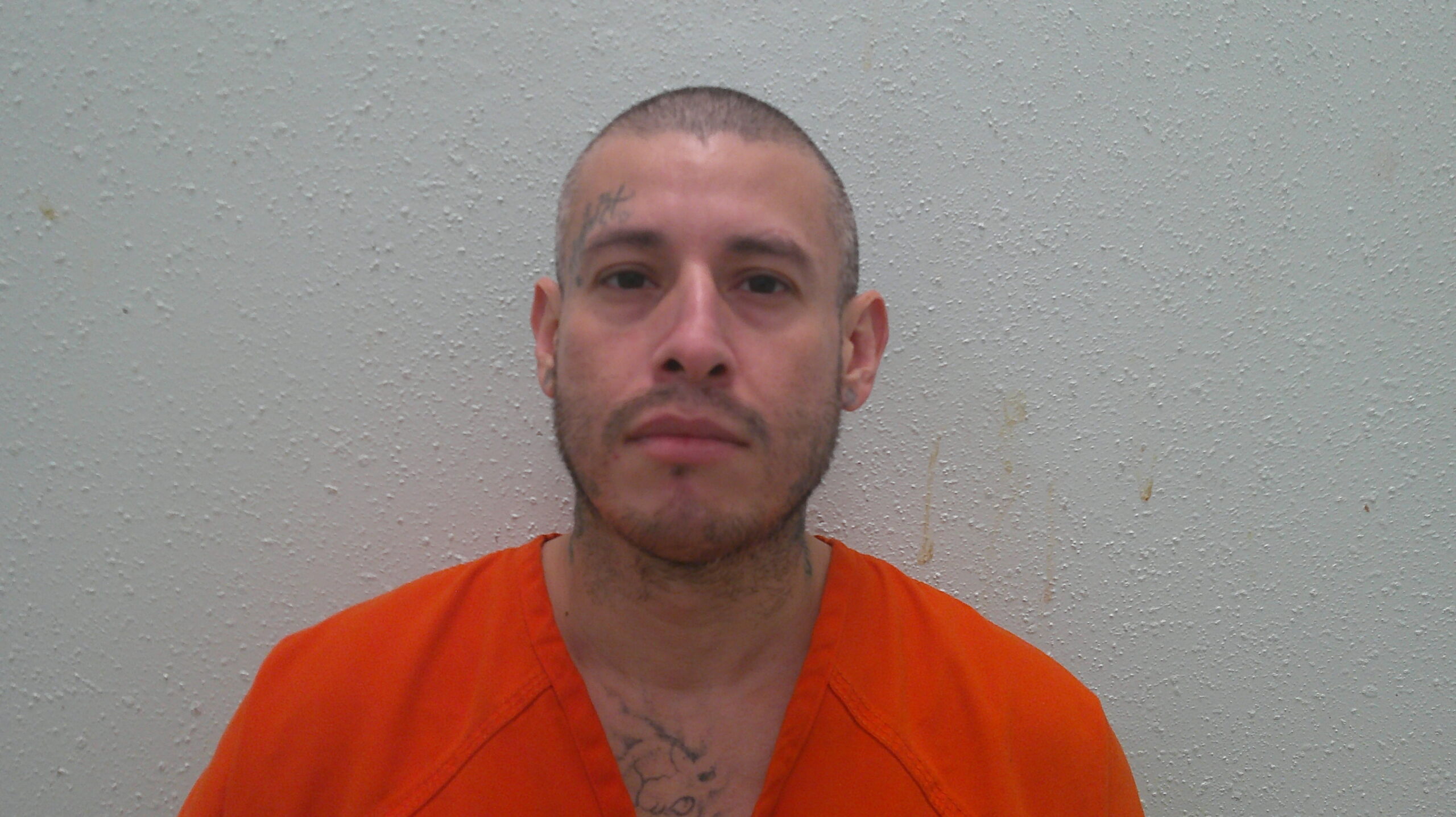 TREVINO, ALFONSO RAUL booking photo