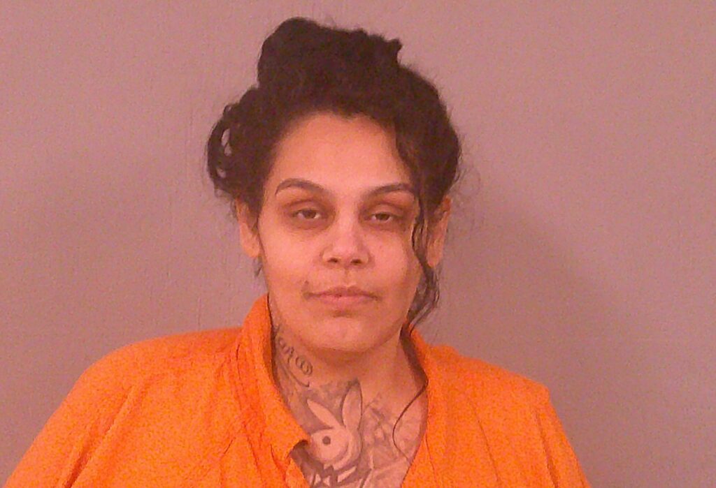LARA, NICOLE MARIE arrest record in Burnet County, Texas LARA, NICOLE MARIE arrested in Burnet County, Texas mugshot