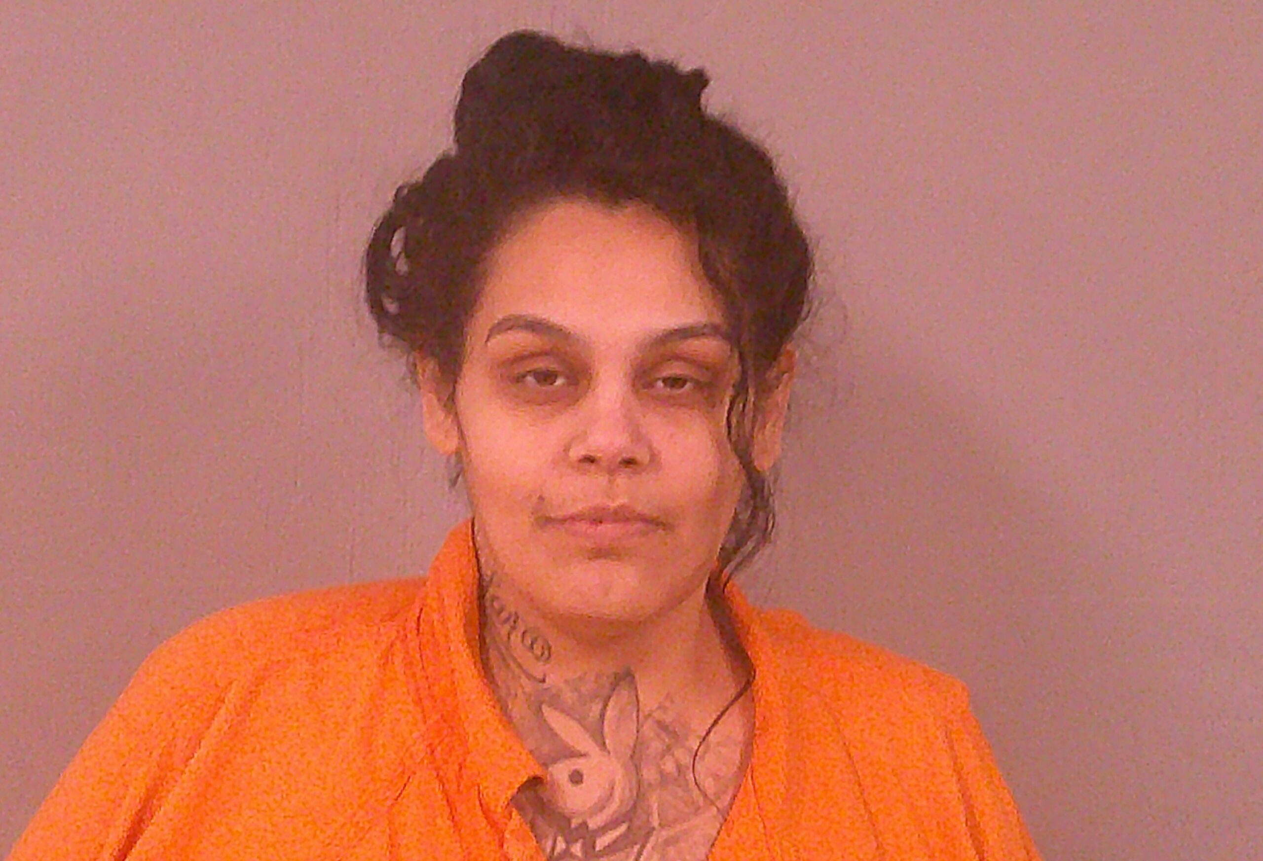 LARA, NICOLE MARIE booking photo