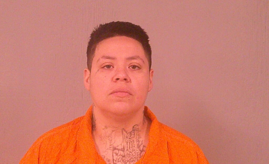 GOVER, CASSANDRA MARIE arrested in Burnet County, Texas mugshot