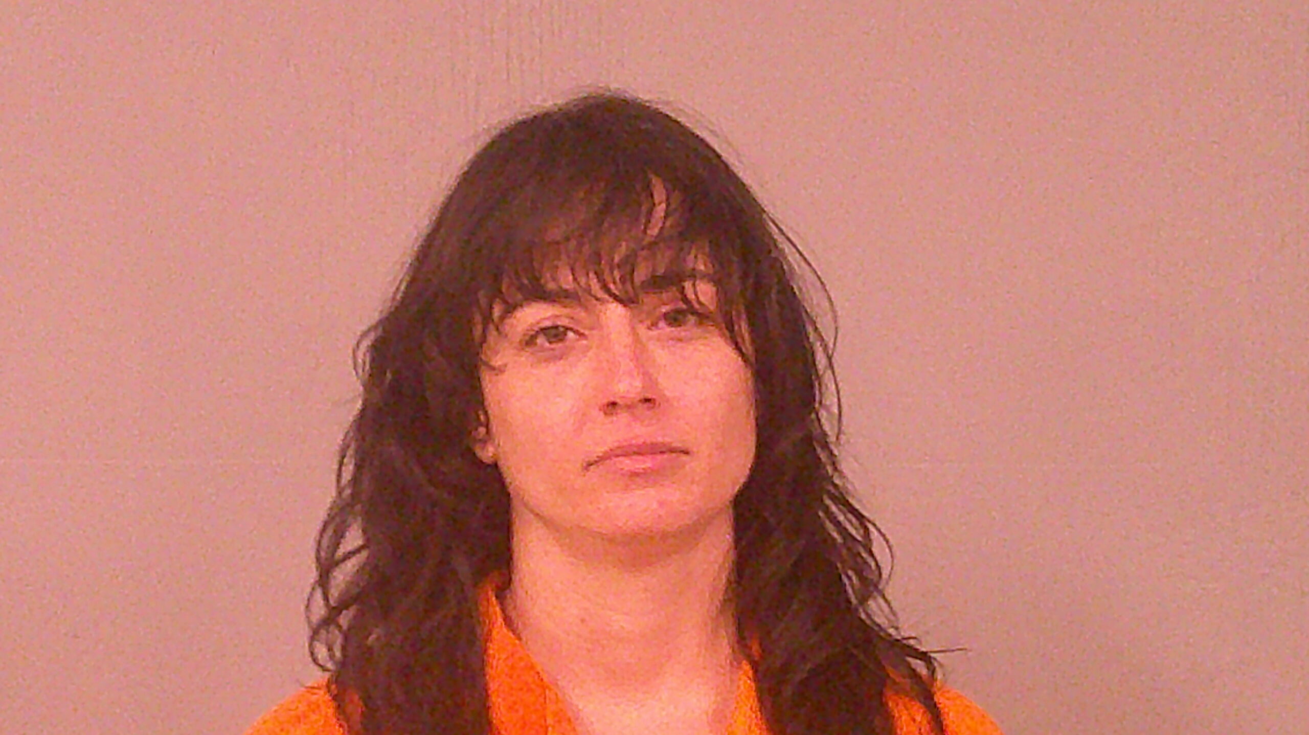 HOUSTON, JACQUELINE REBA booking photo