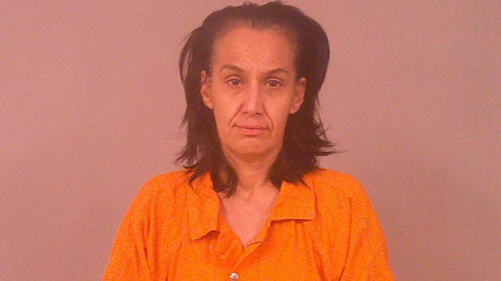 RODRIGUEZ, ANGELITA PACHECO arrested in Burnet County, Texas mugshot
