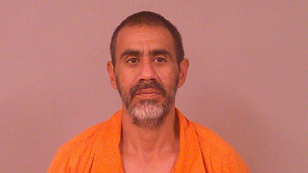 LLANAS, RODOLPHO GARZA booking photo