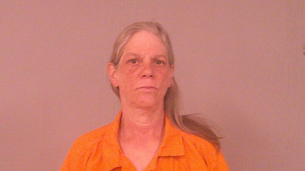 SHAVER, PATRICIA MARIELAINE booking photo