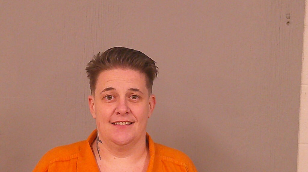 SEARS, ERIN ELIZABETH arrested in Burnet County, Texas mugshot