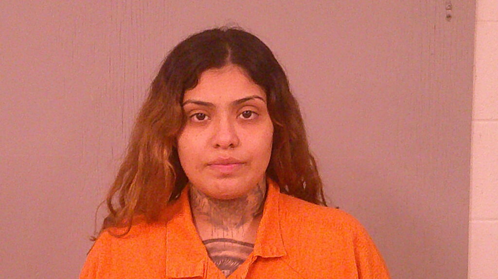 PAIZ, MELISSA RENEE arrested in Burnet County, Texas mugshot