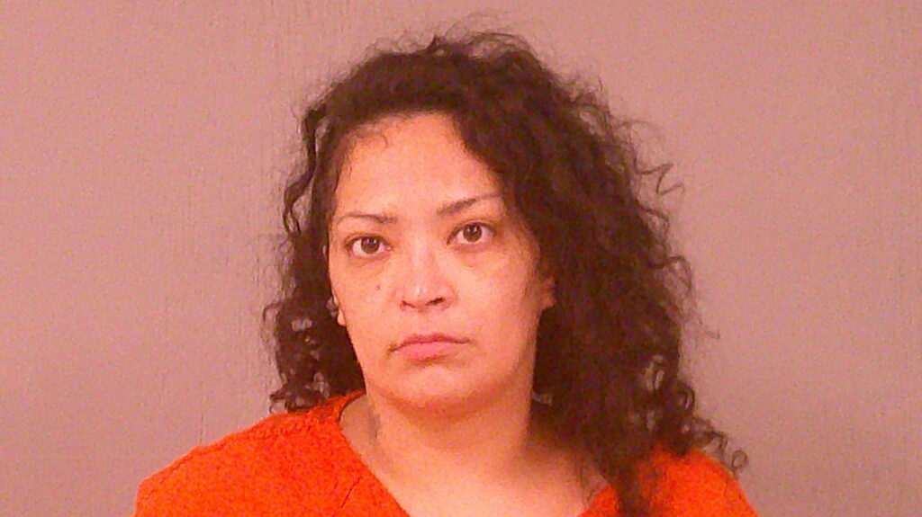 TERRAZAS, APRIL MARIE arrested in Burnet County, Texas mugshot