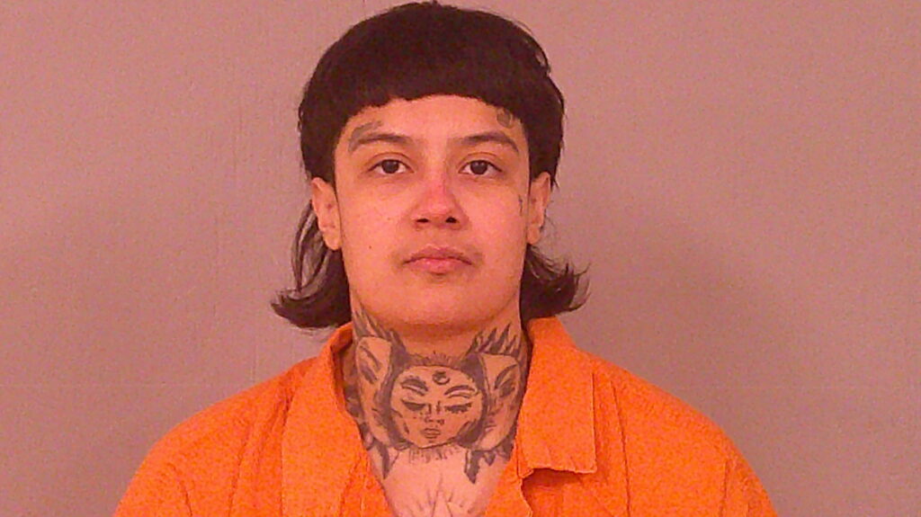 HAWKINS, DEZIREE ANN arrested in Burnet County, Texas mugshot
