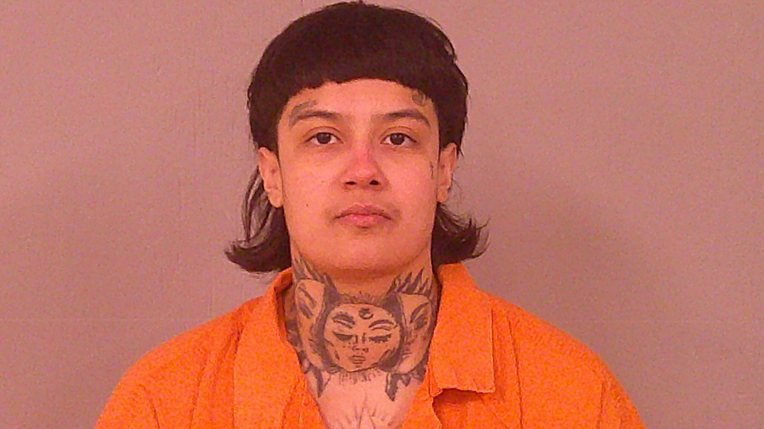 HAWKINS, DEZIREE ANN booking photo