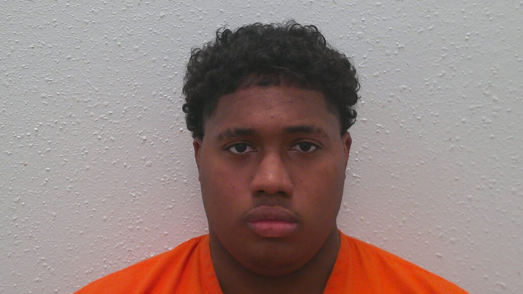 MARTIN, XAVIER VERMIAH arrested in Burnet County, Texas mugshot