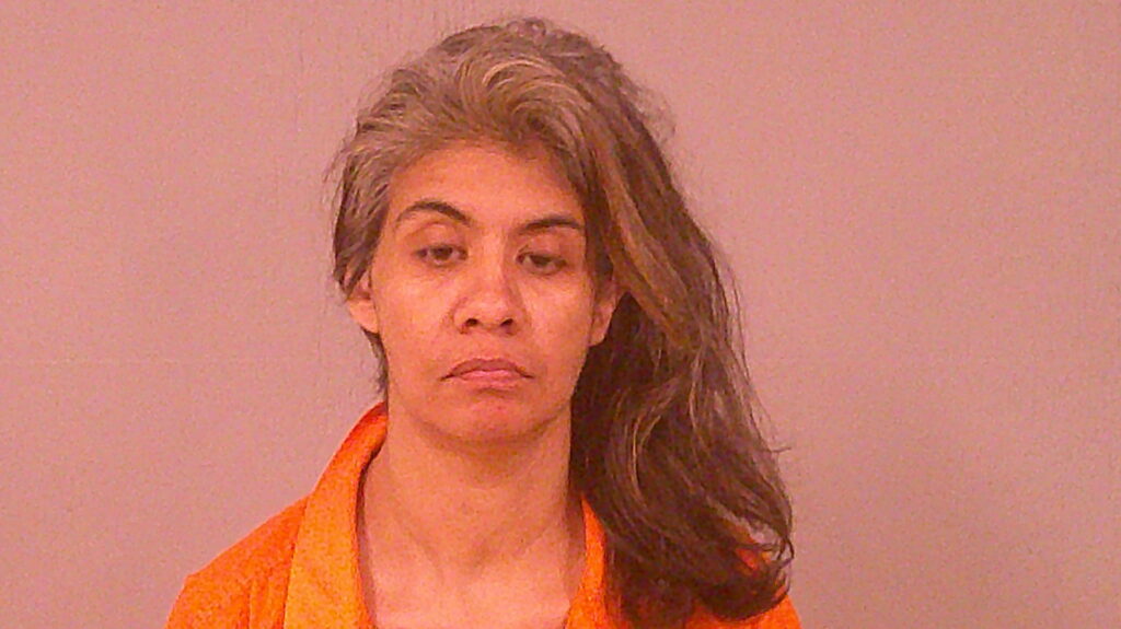 GARZA, TINA MARIE arrested in Burnet County, Texas mugshot