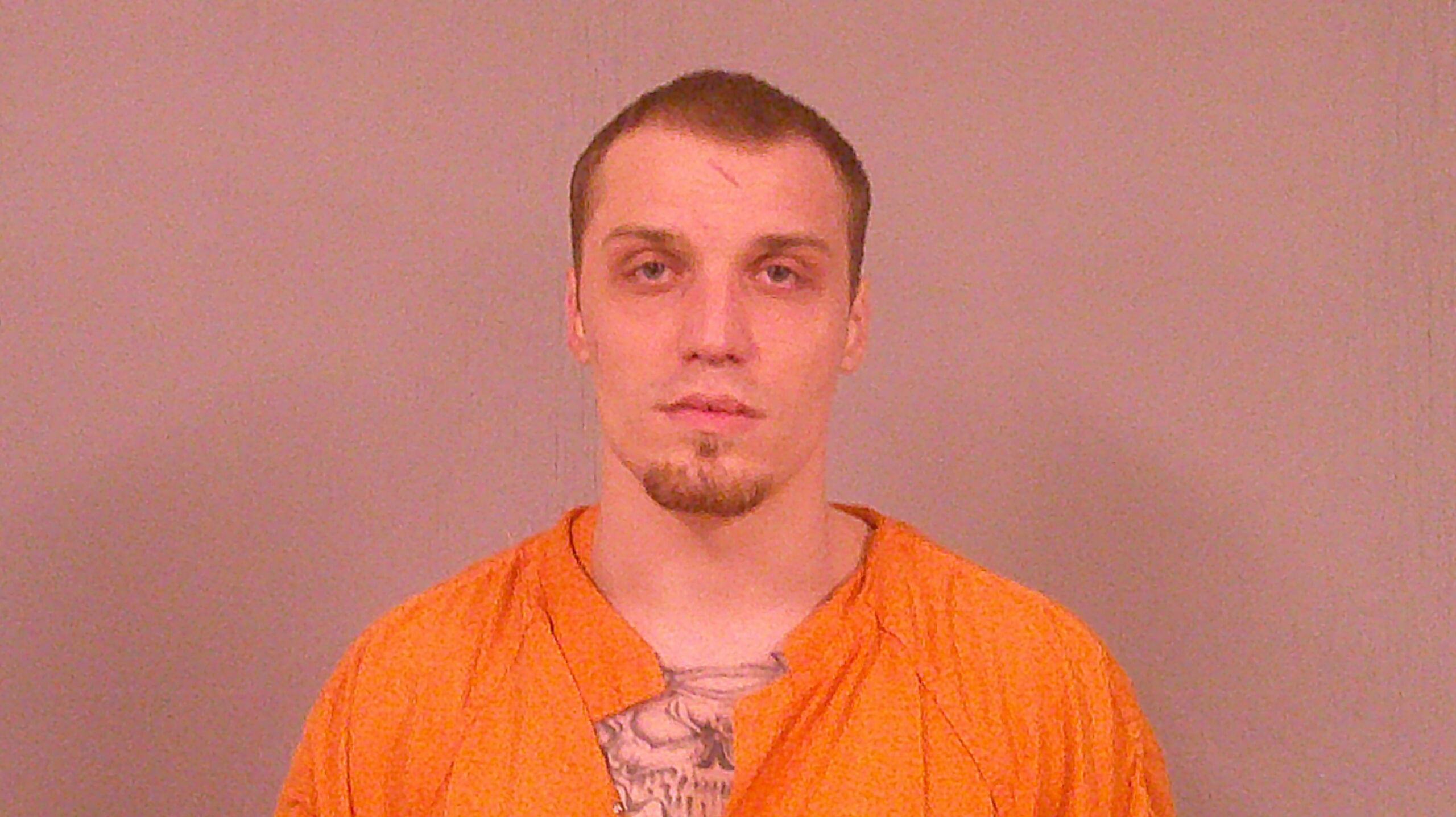 DELVERNE, TRISTAN DEAN booking photo