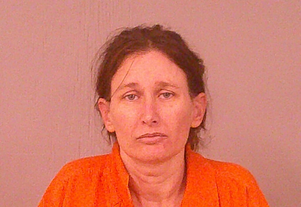 SIMS, CHARITY ANN arrested in Burnet County, Texas mugshot