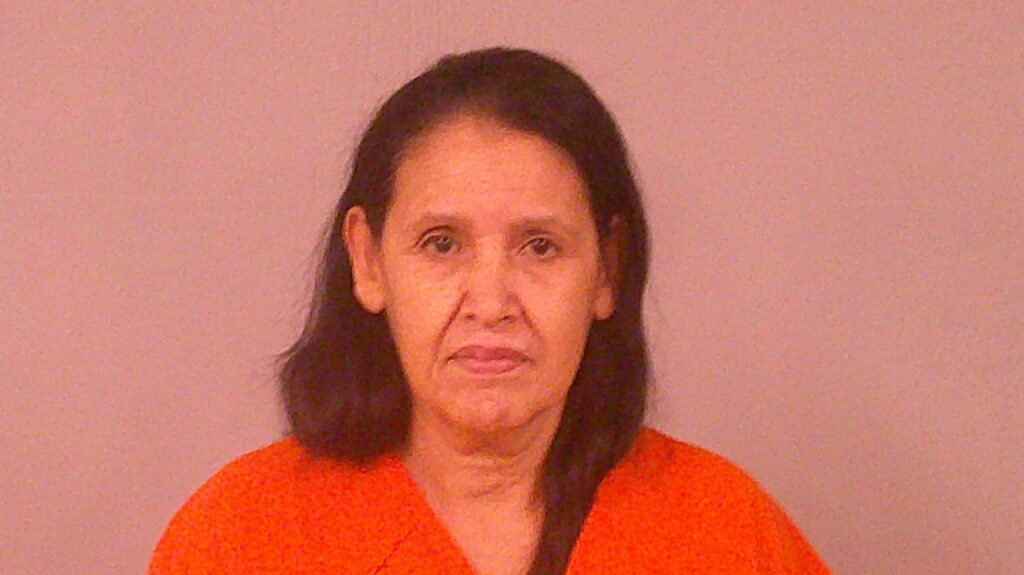MARTINEZ, YOLANDA S arrested in Burnet County, Texas mugshot
