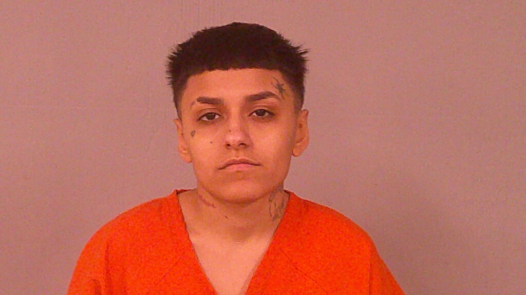 MEDINA, JULIE ELLEN arrested in Burnet County, Texas mugshot