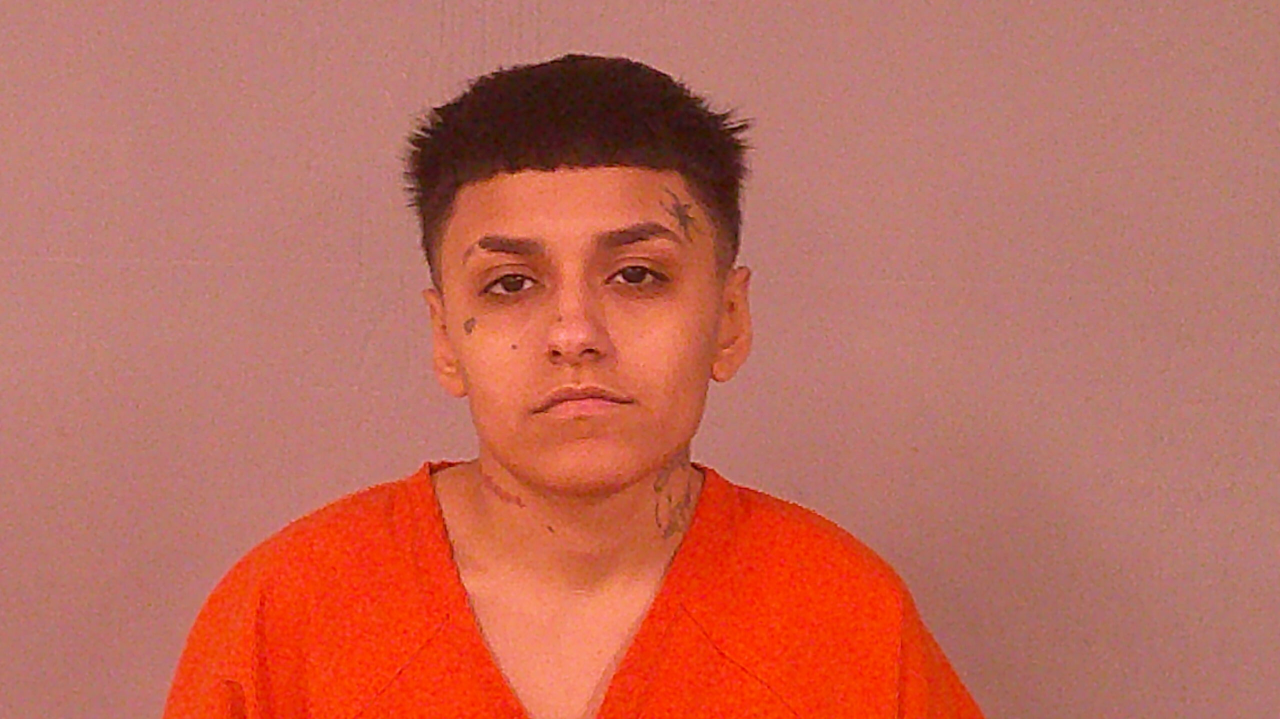 MEDINA, JULIE ELLEN booking photo