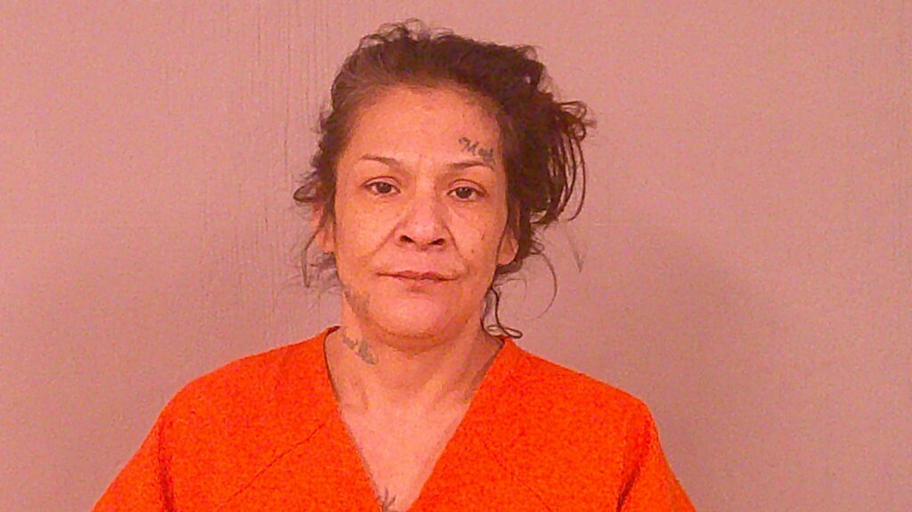 HERNANDEZ, GLORIA JEAN arrested in Burnet County, Texas mugshot
