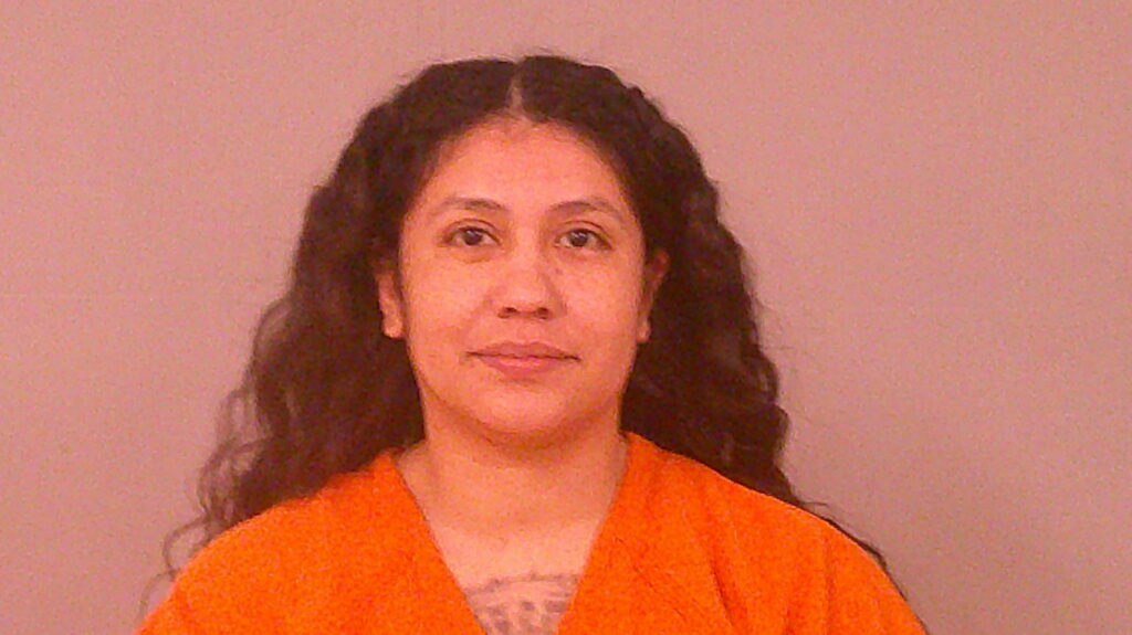MONTOYA, VERONICA arrested in Burnet County, Texas mugshot