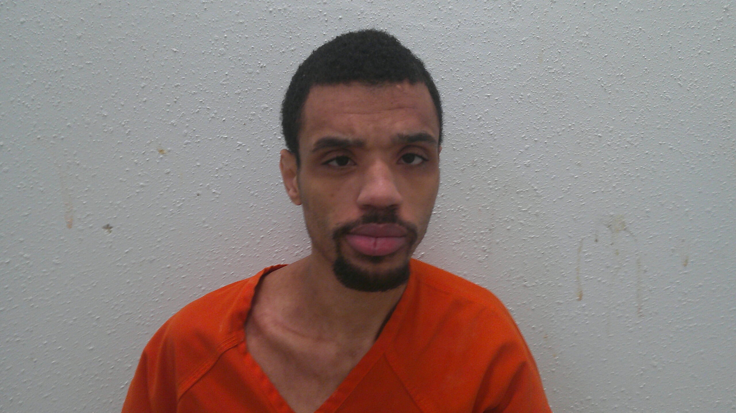 DIXIE, JAMON LEWIS booking photo