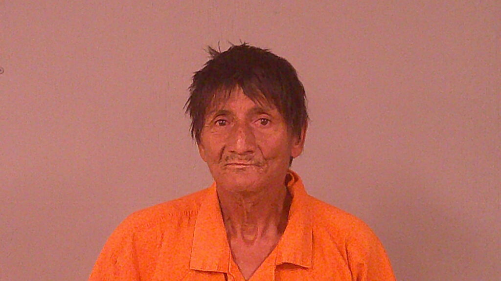 DAVIS, ADRIAN DONALD arrested in Burnet County, Texas mugshot