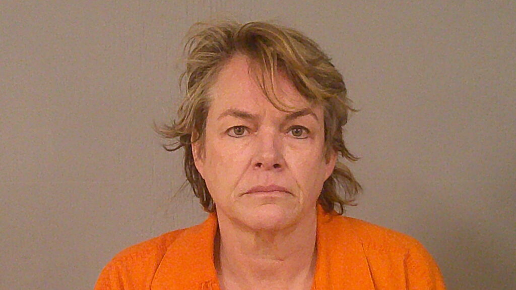 BASS, STACY DIANE arrested in Burnet County, Texas mugshot