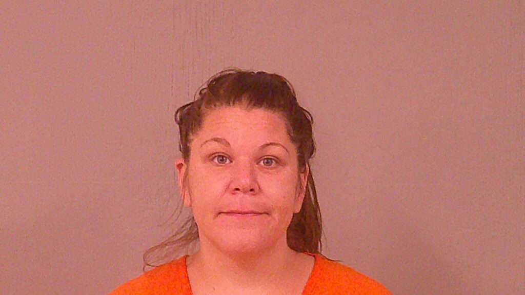 JOHNSON, JOHNNA DENAY arrested in Burnet County, Texas mugshot