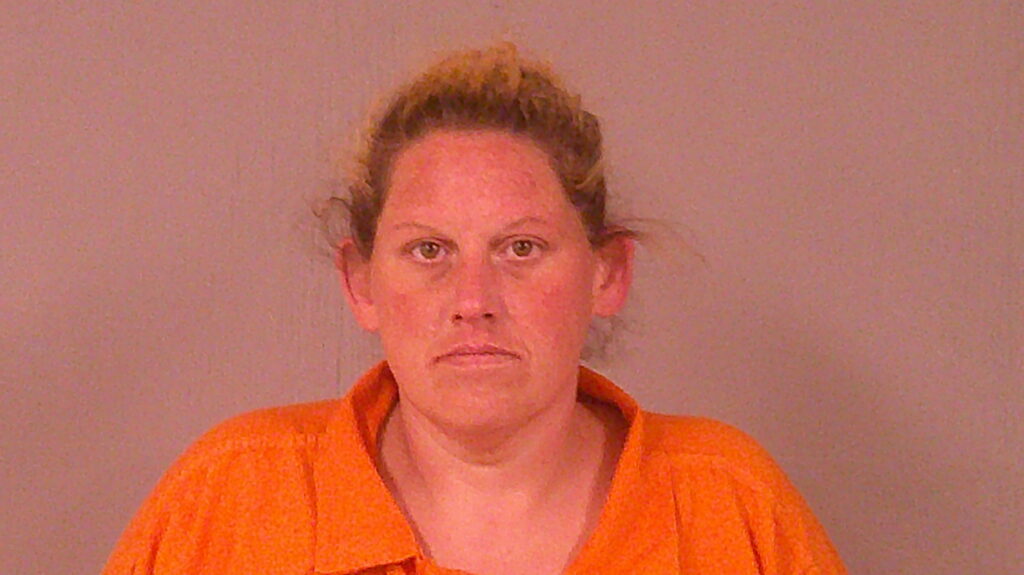 FARMER, PATRICIA ANN arrested in Burnet County, Texas mugshot