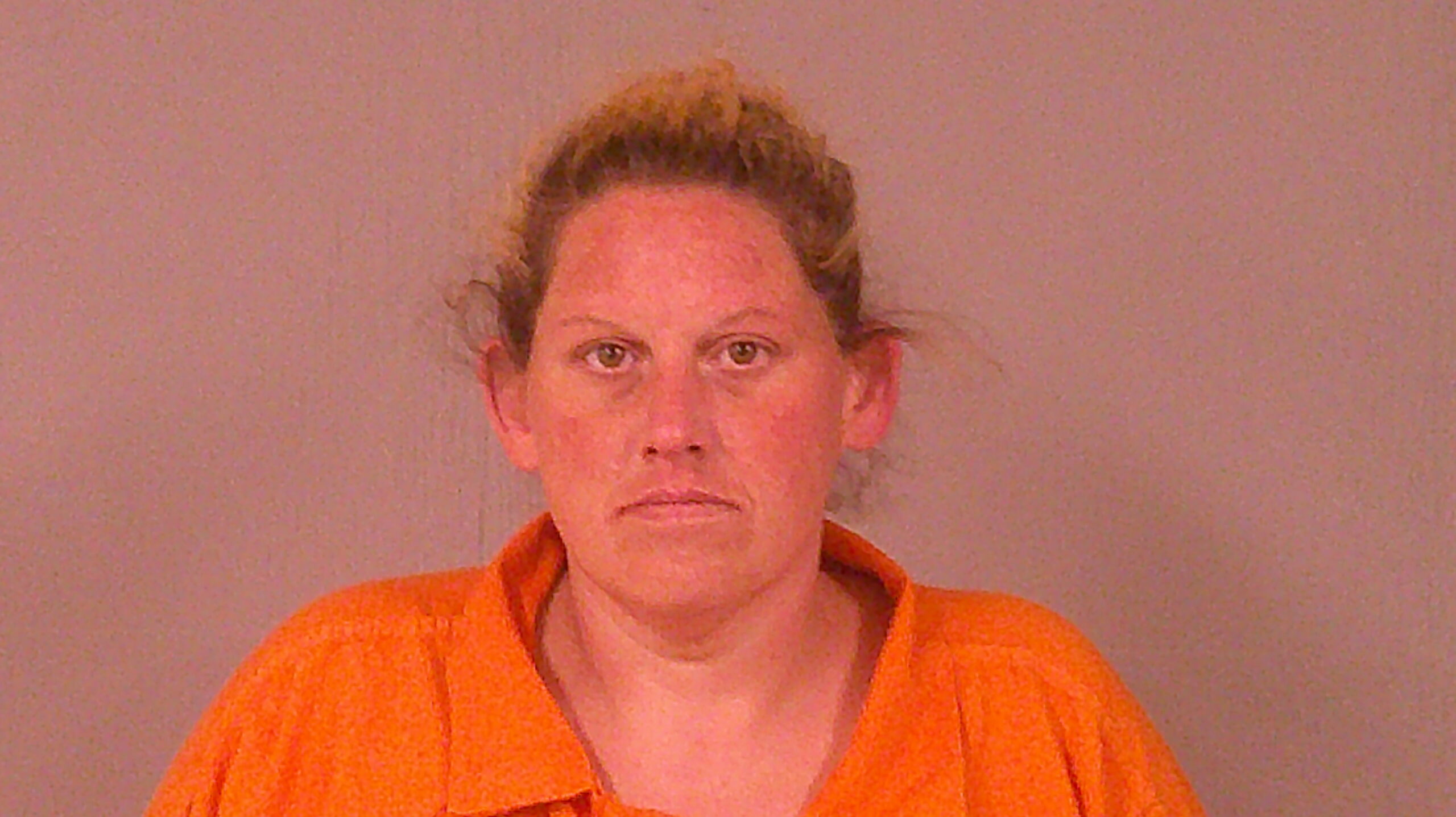 FARMER, PATRICIA ANN booking photo