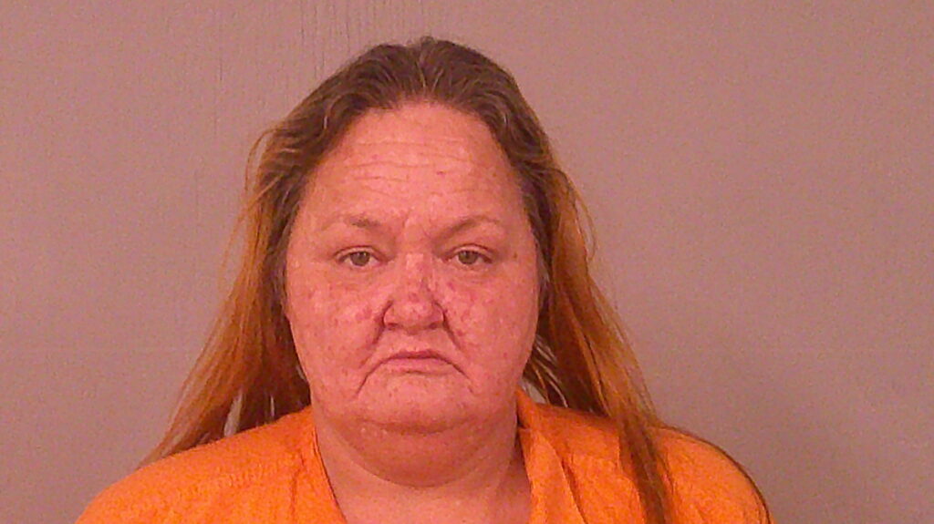 MAYNARD, CAROL ANN arrested in Burnet County, Texas mugshot