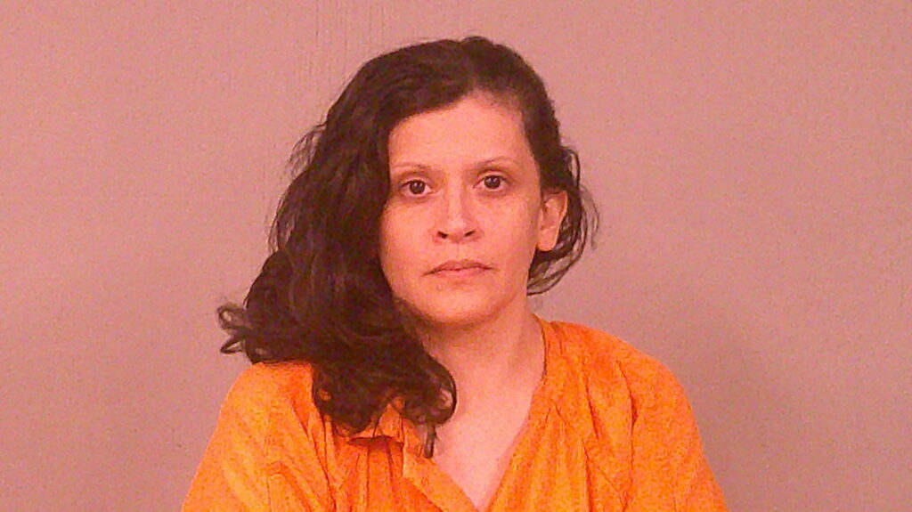 ROBELDO, YANET LEEIN arrested in Burnet County, Texas mugshot