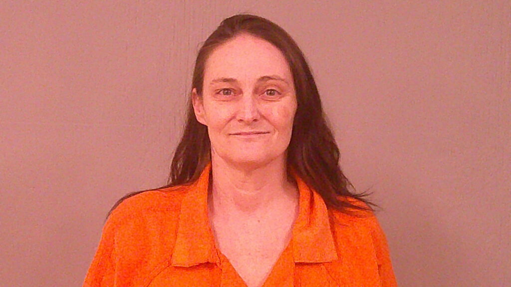 HOOD, BOBBI JEAN arrested in Burnet County, Texas mugshot