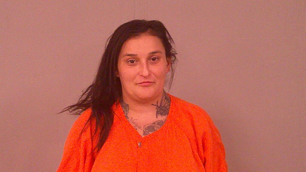 SILVAS, ASHLEY ELIZABETH arrested in Burnet County, Texas mugshot