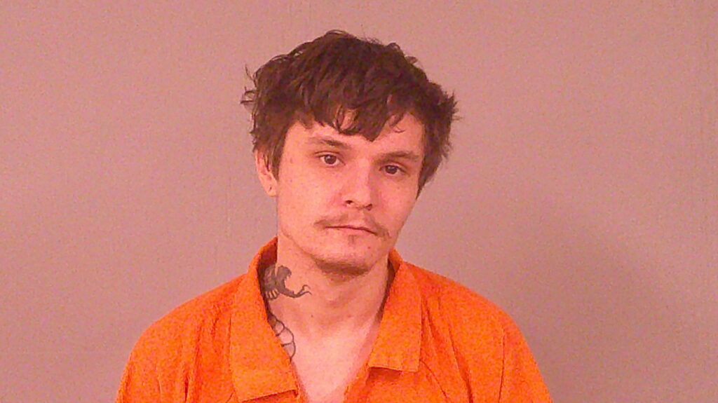 NELSON, CURTIS MORGAN DANIEL arrested in Burnet County, Texas mugshot