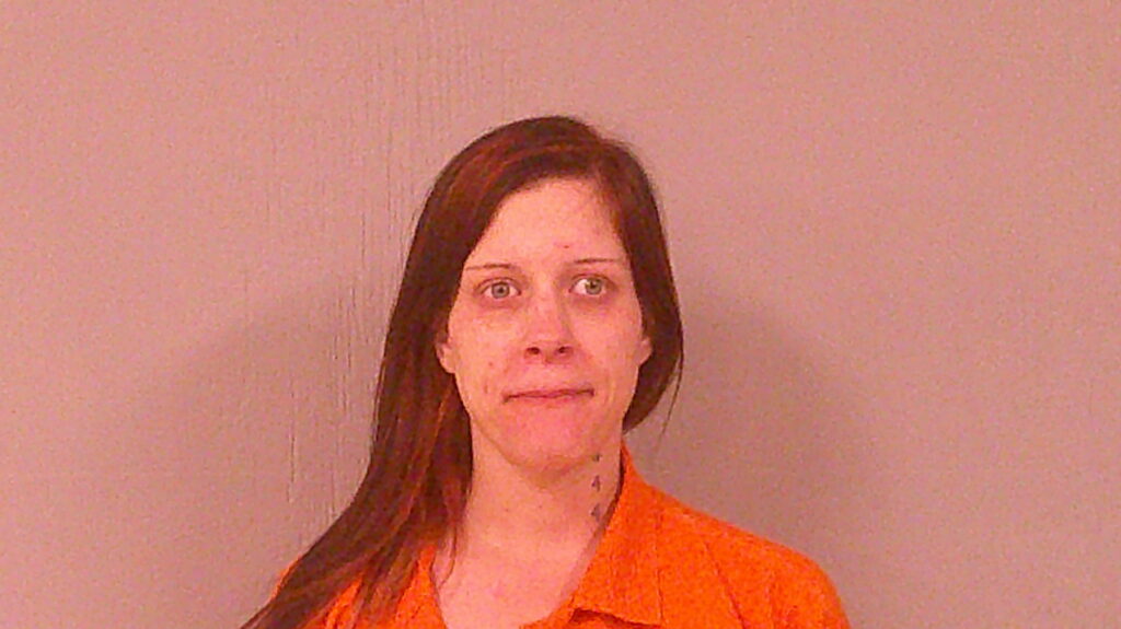 DODSON, SHELBY LYNN arrested in Burnet County, Texas mugshot