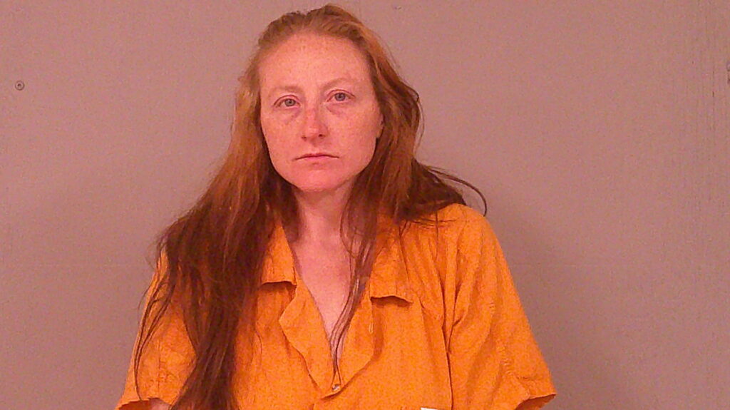 TILLERY, AMARA LINDA arrested in Burnet County, Texas mugshot