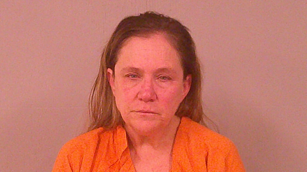 MORGAN, ROCHELLE ANN arrested in Burnet County, Texas mugshot