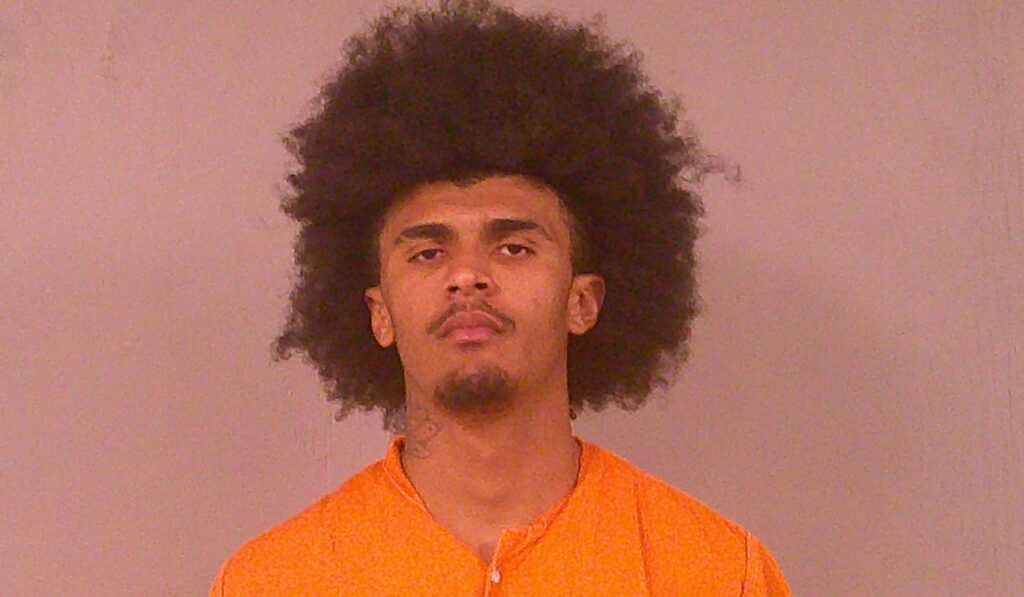LEWIS, SAMAR AMAR arrested in Burnet County, Texas mugshot