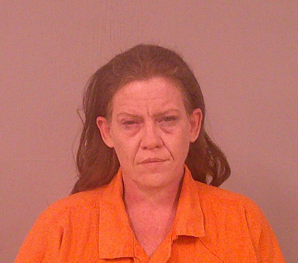 SMITH, HAYLEE NICOLE arrested in Burnet County, Texas mugshot