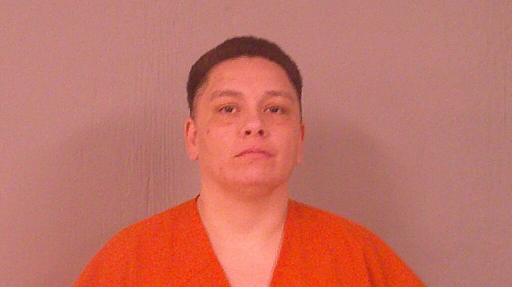 CAUSTEITA, YVONNE OLIVIA arrested in Burnet County, Texas mugshot