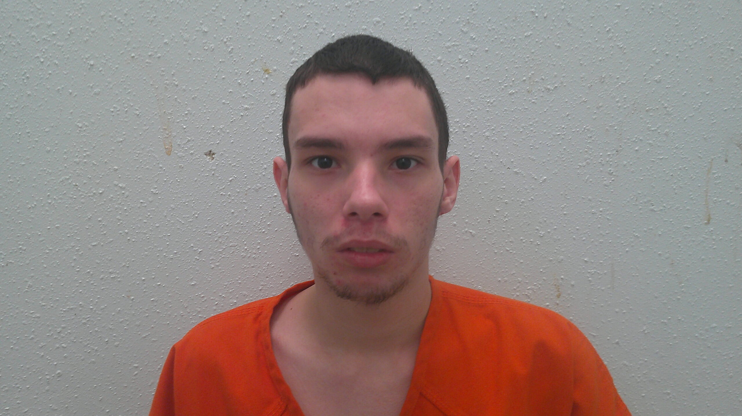 LAND, NATHAN WAYNE booking photo