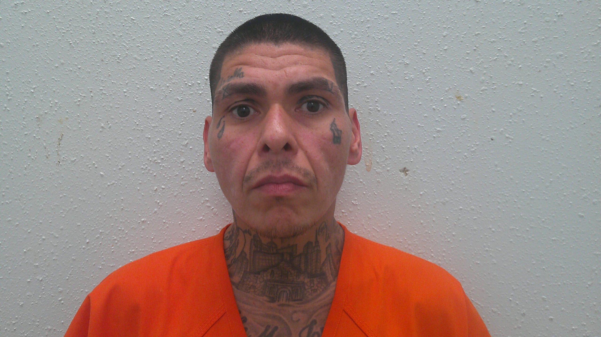 PANIAGUA, JONATHAN LUIS booking photo